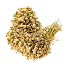 Steppenrauten-Samen 100g (Peganum Harmala) – Naturprodukt in Premium-Qualität - ÜZERLİK TOHUMU
