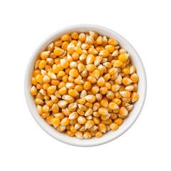 Maïs à Popcorn Premium – Grains de maïs pour pop-corn frais – 500g