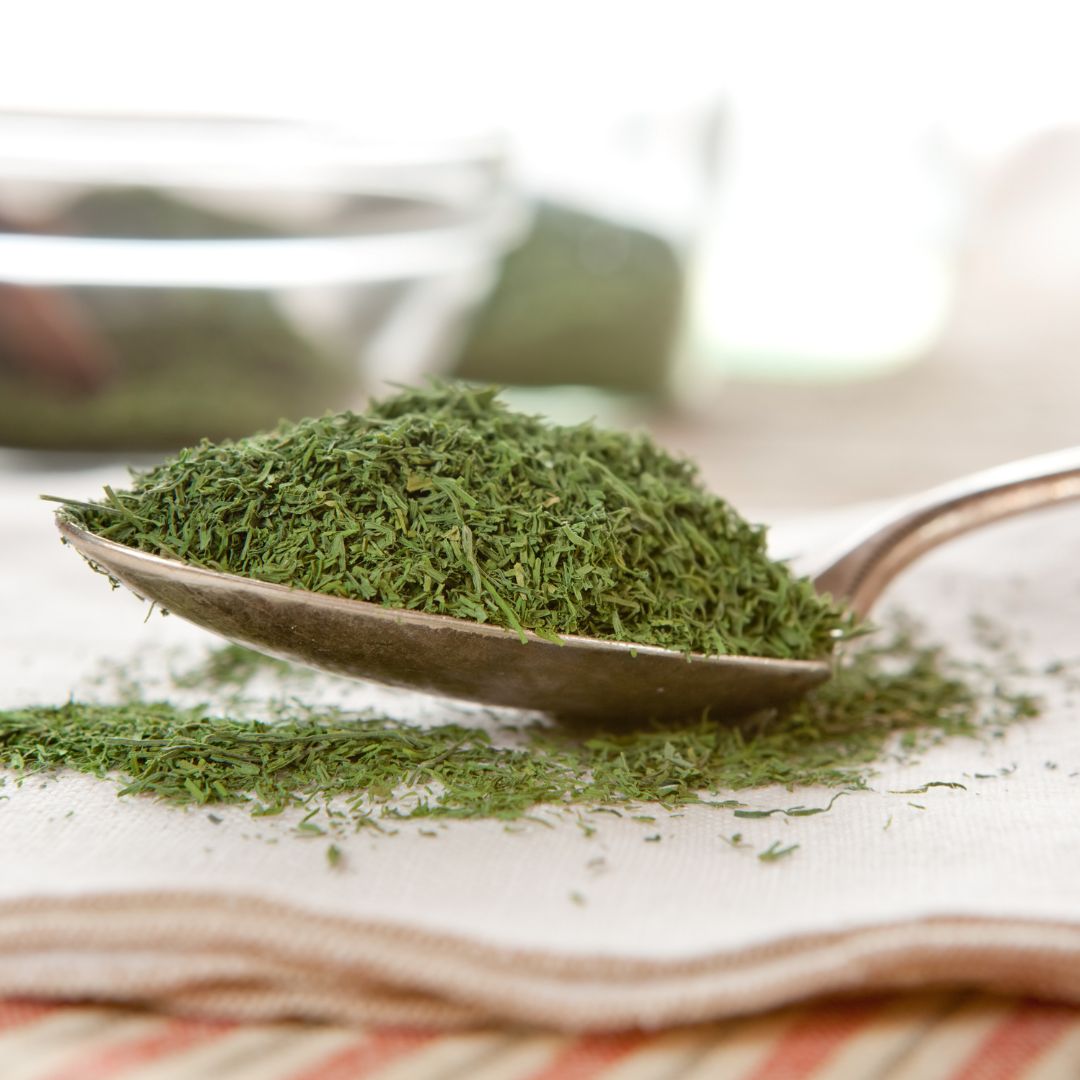 Dill 50g • Getrocknet