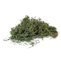 Dill 50g • Getrocknet