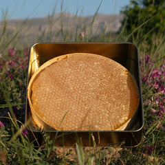 Wabenhonig - Toros Berg Karakovan - %100 Natürli̇cher Honig