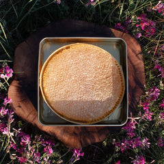 Wabenhonig - Toros Berg Karakovan - %100 Natürli̇cher Honig