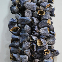 Dolmalık Patlıcan Kurusu 1 bağ (40-50 adet)