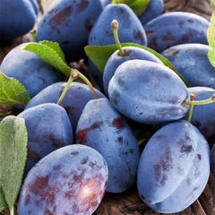 Getrocknete Pflaumenscheiben 250g (Mürdüm Pflaumen) – Natürlicher Fruchtgenuss mit intensivem Aroma