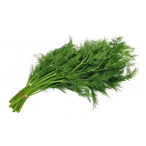 Dill 50g • Getrocknet